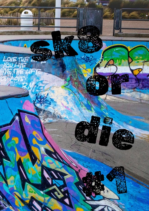 SK8 OR DIE #1 cover